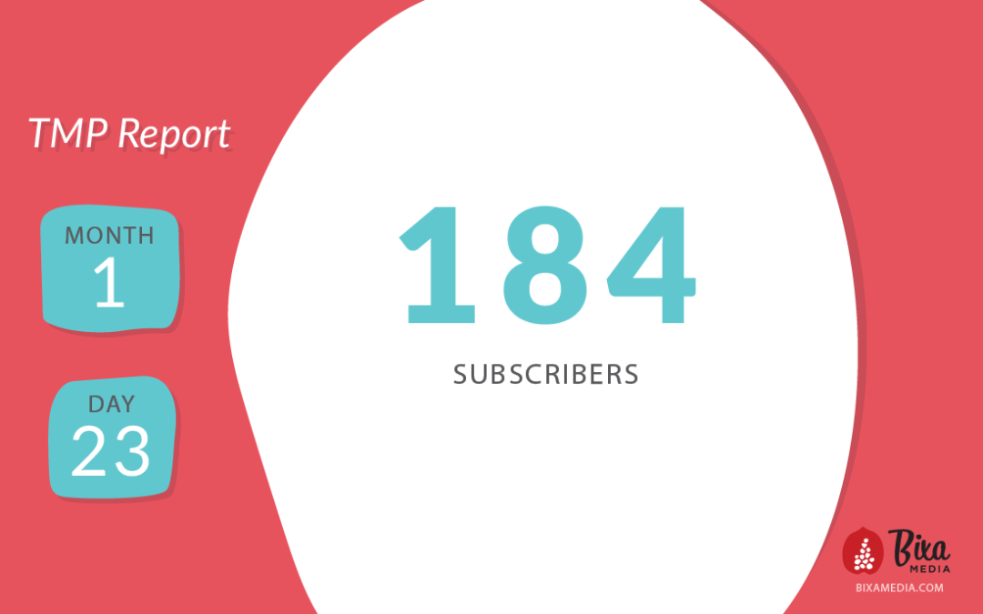 The Transparent Marketing Project: Month 1, Day 23