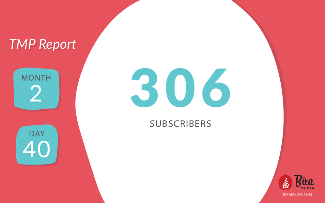 The Transparent Marketing Project: Month 2, Day 40