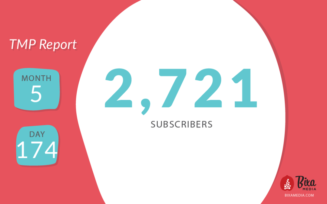 The Transparent Marketing Project: Month 5, Day 174