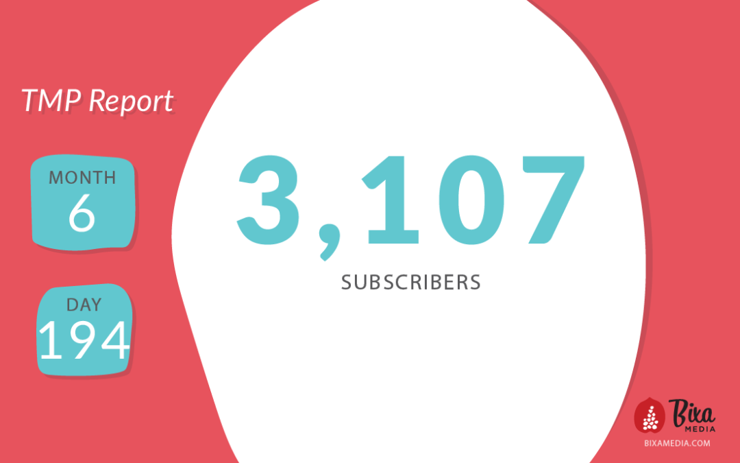 The Transparent Marketing Project: Month 6, Day 194